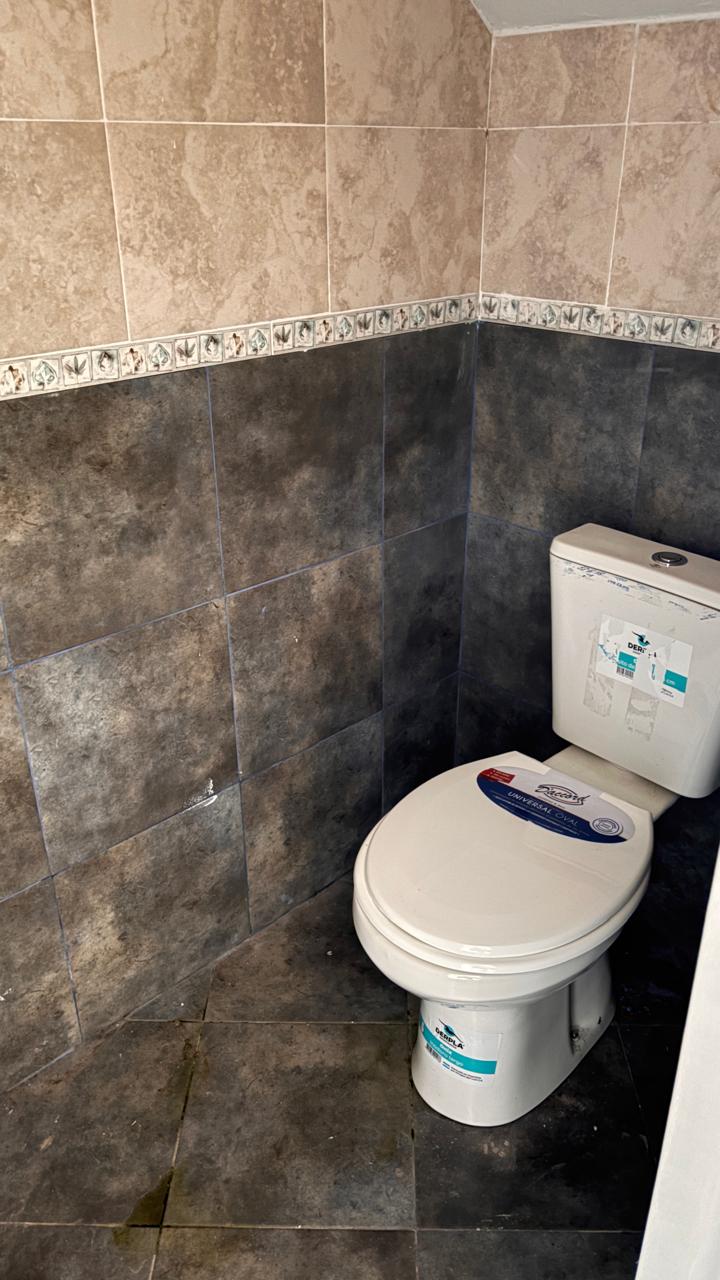 GARIBALDI BÑO ARTEFACTO 1