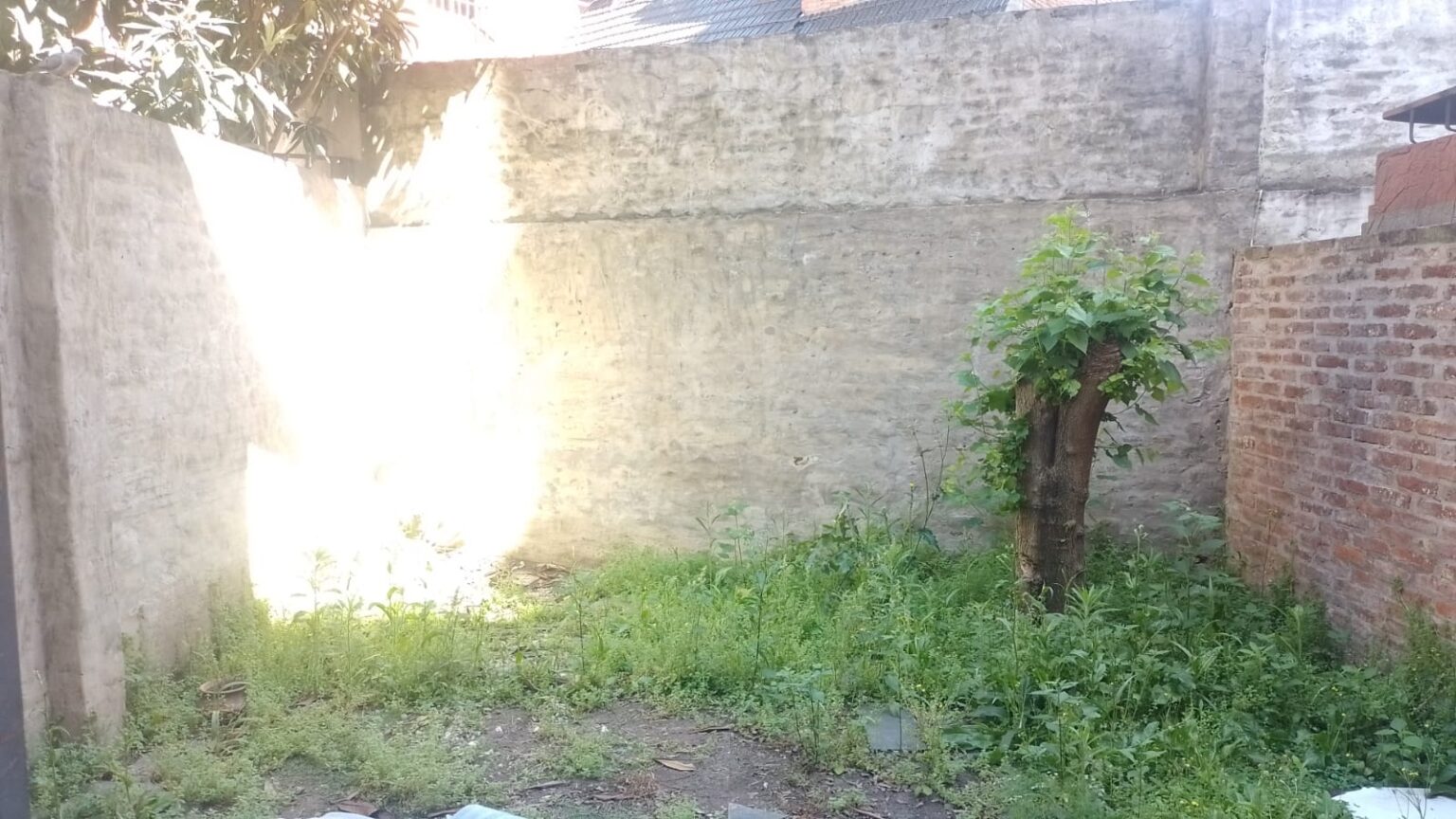 WhatsApp Image 2024-10-18 at 10.49.33 AM