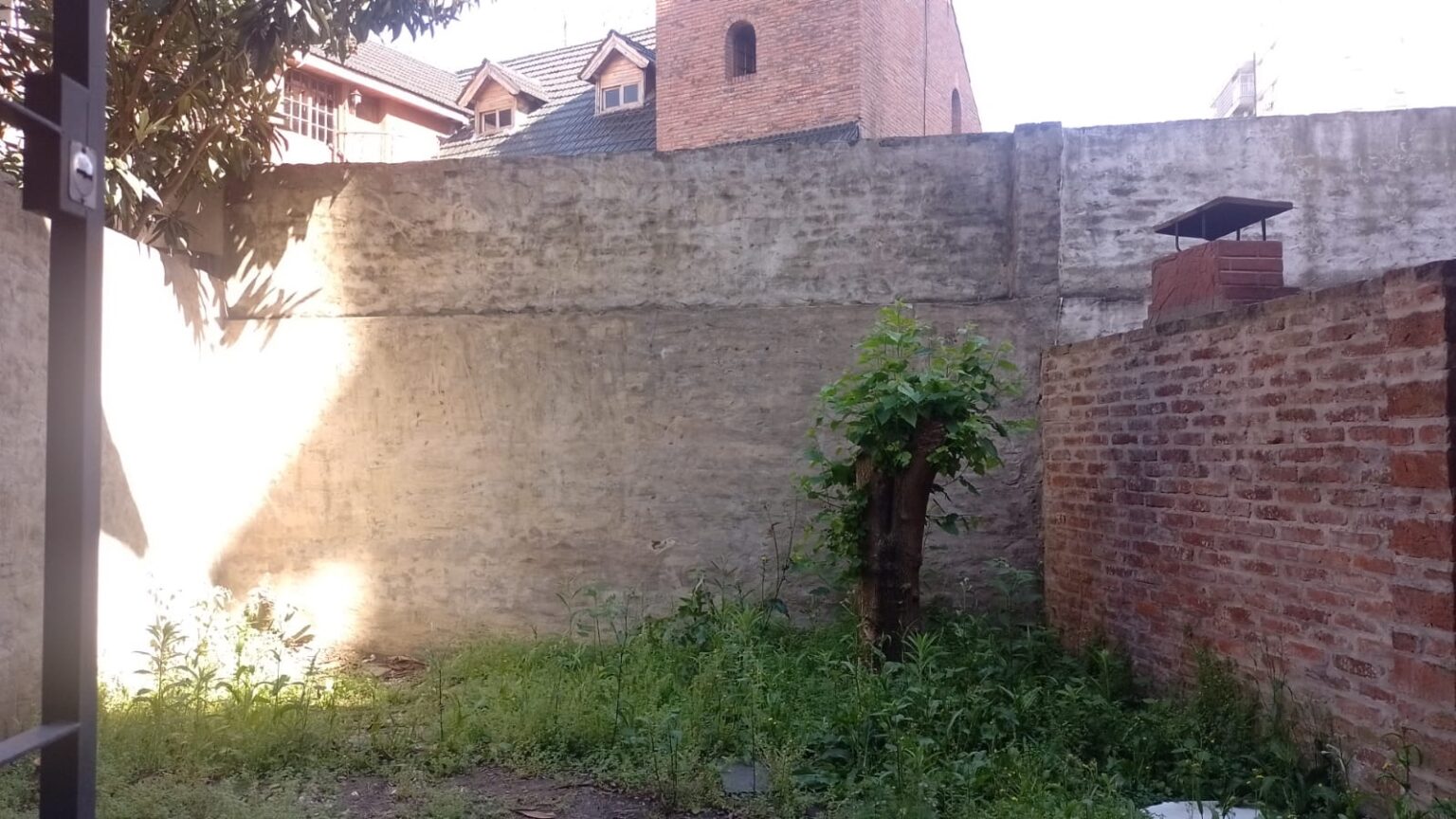 WhatsApp Image 2024-10-18 at 10.49.34 AM