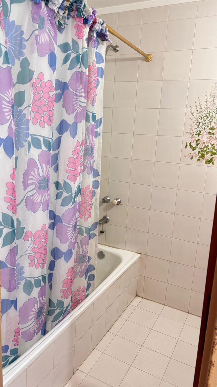 CABRAL 1750 BÑO BAÑERA